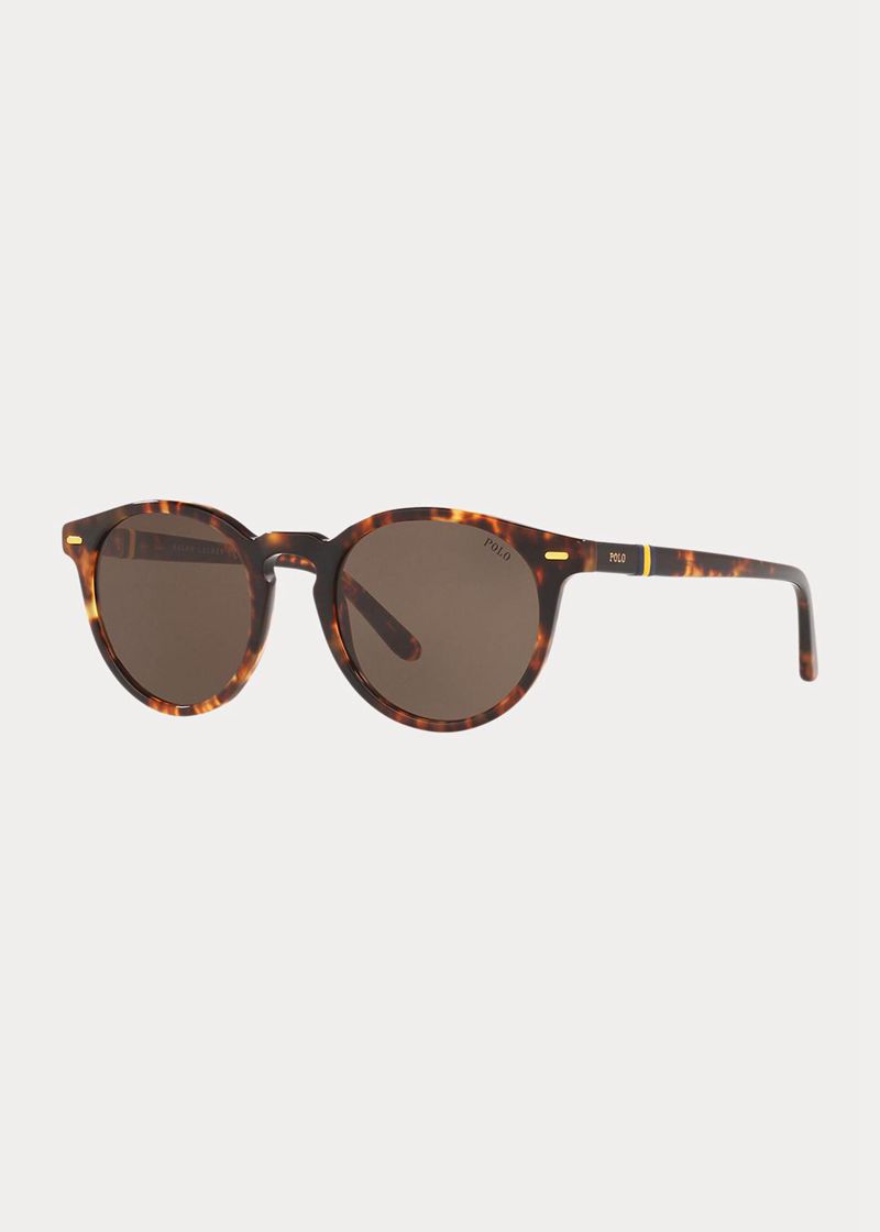 Gafas Polo Ralph Lauren Hombre Tortoiseshell Panto Chile Marrones UBXCN-6931